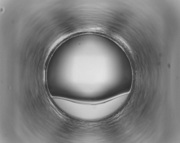 X0000086931324200704161049
