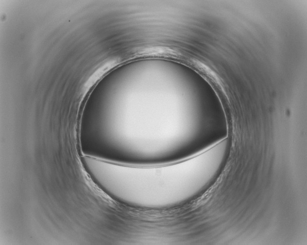 X0000086931330200704161050