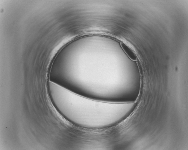 X0000086931333200704161050