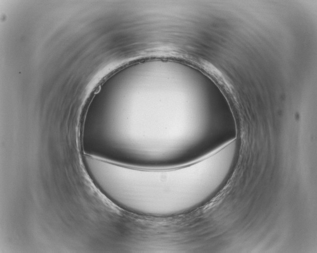 X0000086931334200704161050