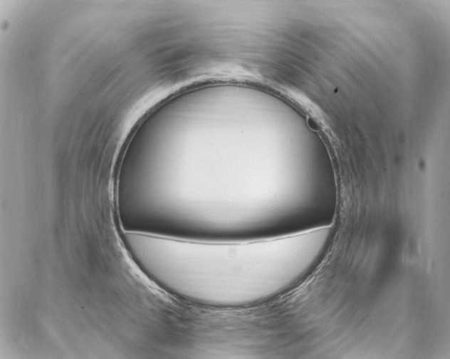 X0000086931335200704161050