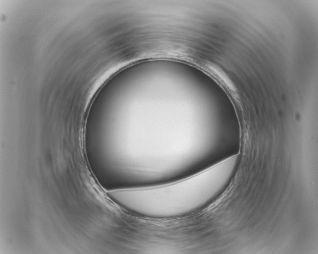 X0000086931340200704161050
