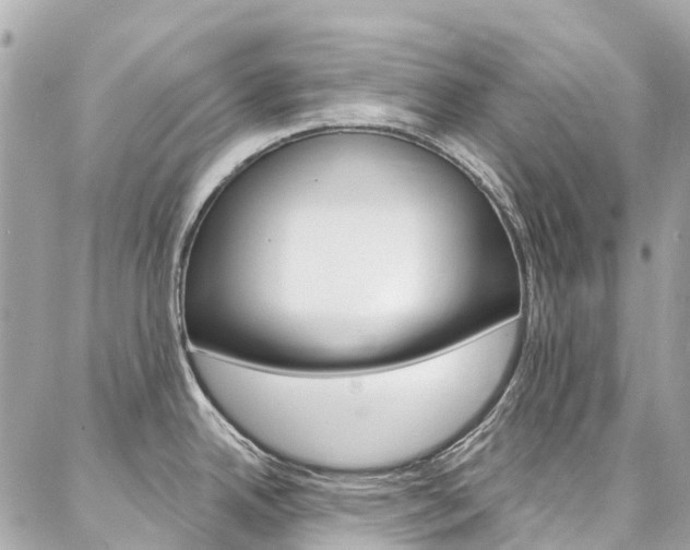 X0000086931342200704161050