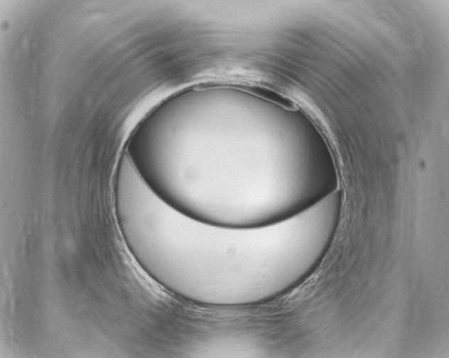 X0000086931344200704161050