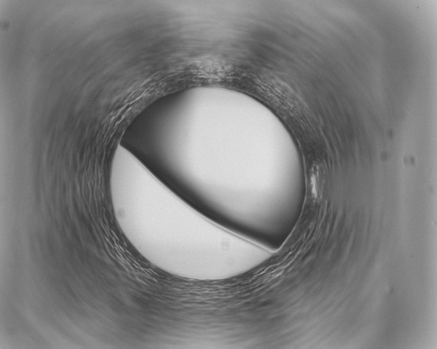 X0000086931347200704161049