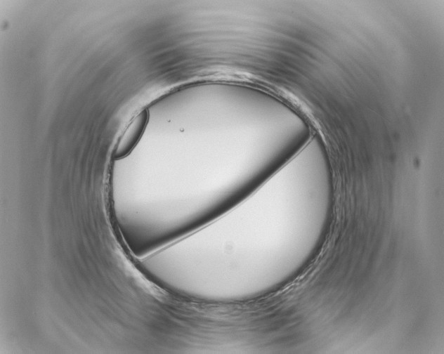 X0000086931379200704161048