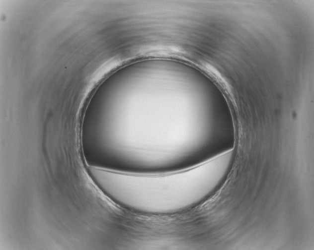 X0000086931384200704161048