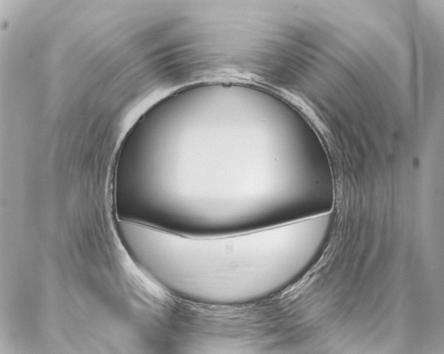 X0000086931387200704161048