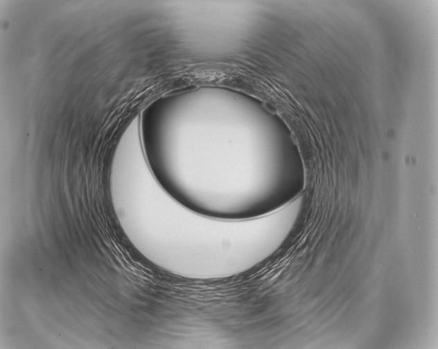 X0000086931394200704161047