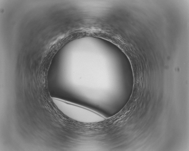 X0000086931398200704161047