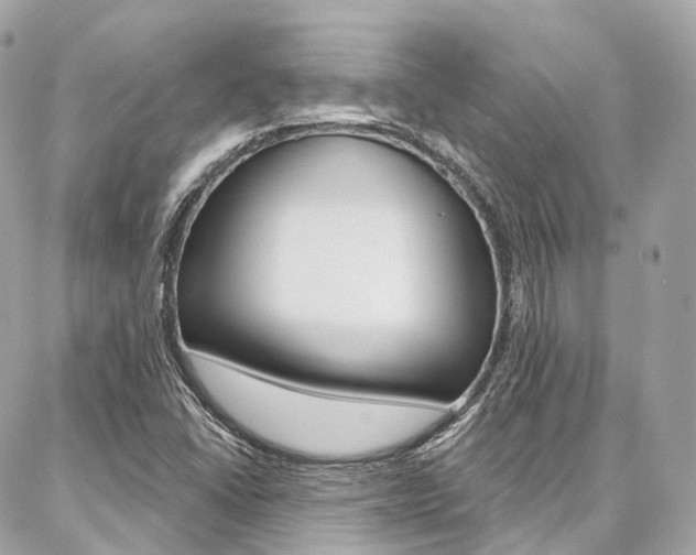 X0000086931406200704161048