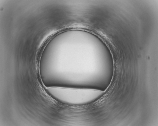 X0000086931408200704161048