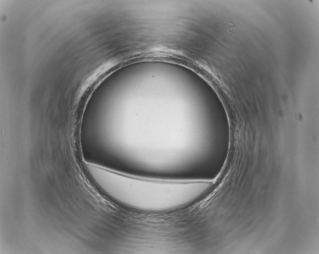 X0000086931410200704161048