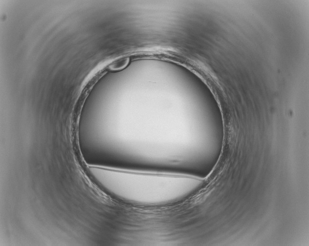 X0000086931412200704161048
