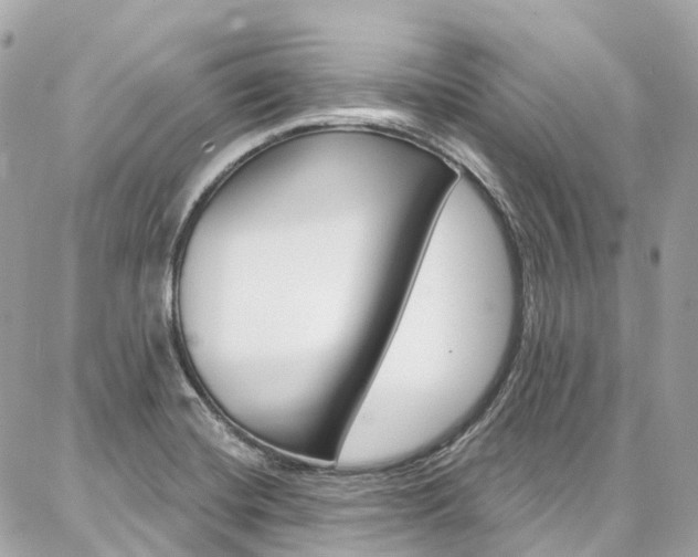 X0000086931420200704161048