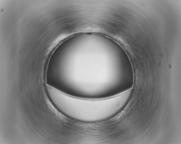 X0000086931422200704161048