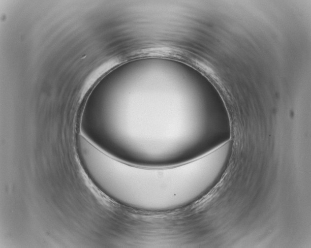 X0000086931426200704161048