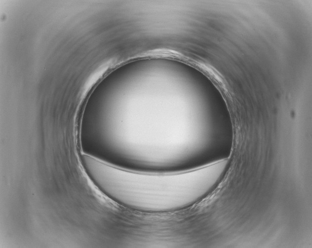 X0000086931430200704161048
