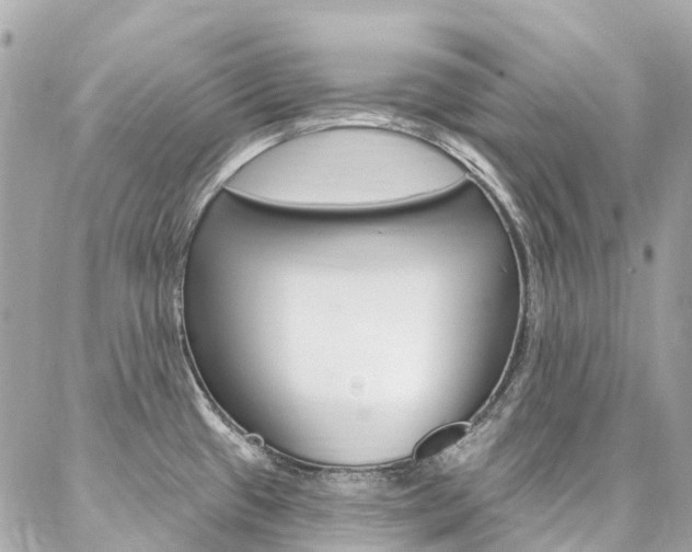 X0000086931433200704161048