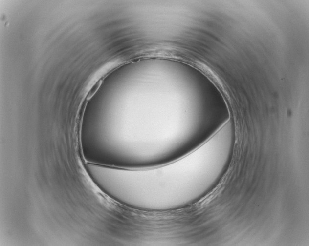 X0000086931434200704161048