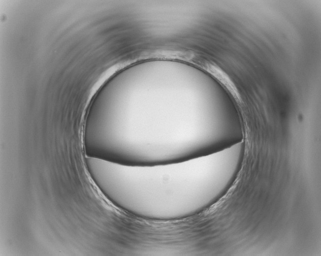 X0000086931436200704161048