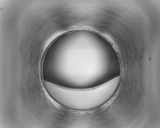 X0000086931438200704161048