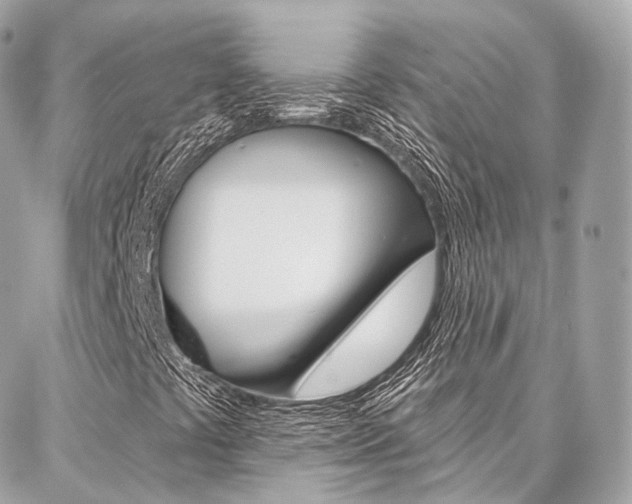 X0000086931441200704161047