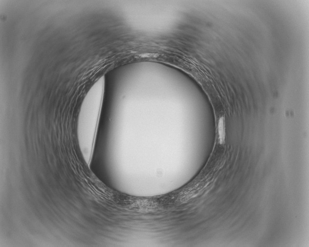X0000086931443200704161047