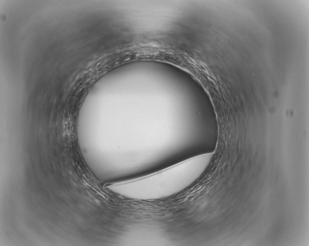 X0000086931445200704161047