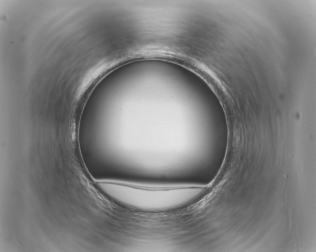 X0000086931461200704161047