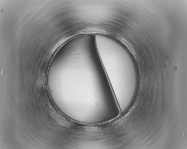 X0000086931465200704161047
