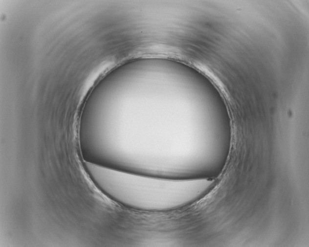 X0000086931477200704161047