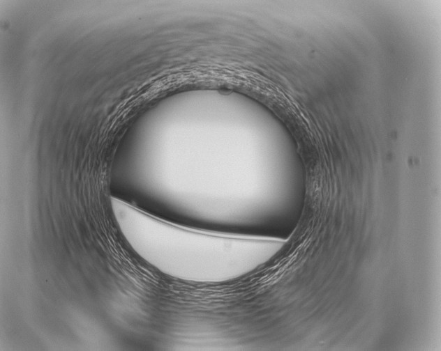 X0000086931490200704161046