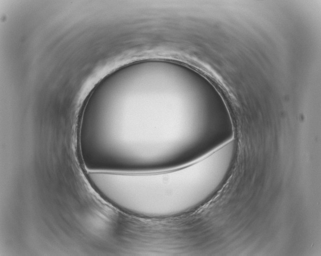 X0000086931512200704161046