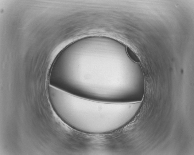 X0000086931527200704161046