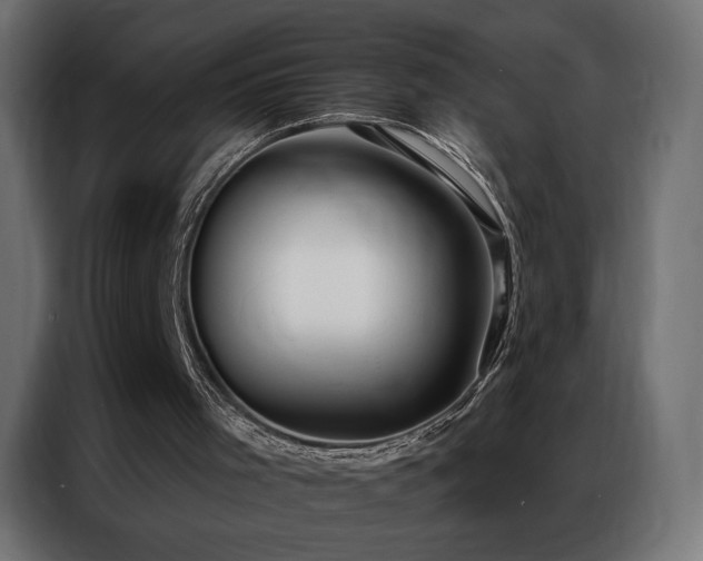 X0000086930001200704161434