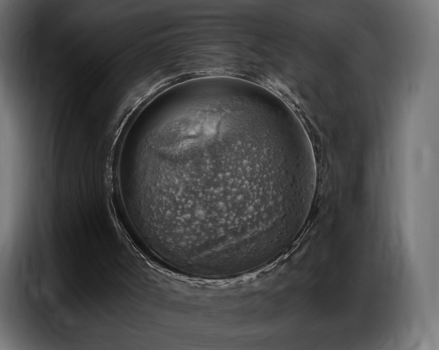 X0000086930002200704161434