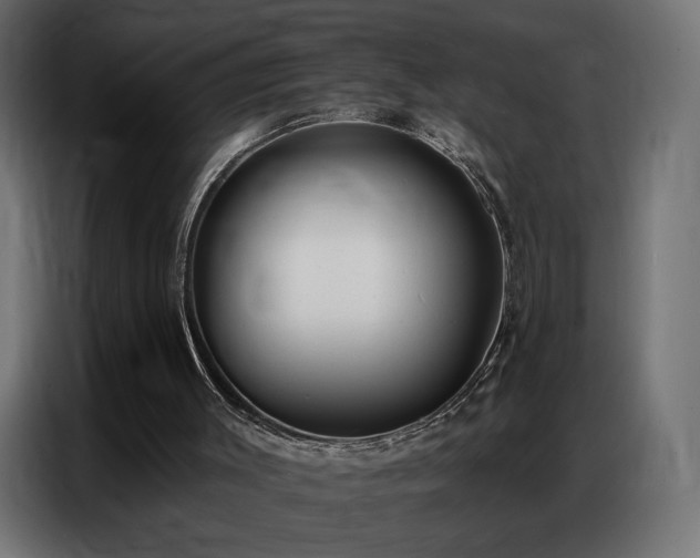 X0000086930003200704161434