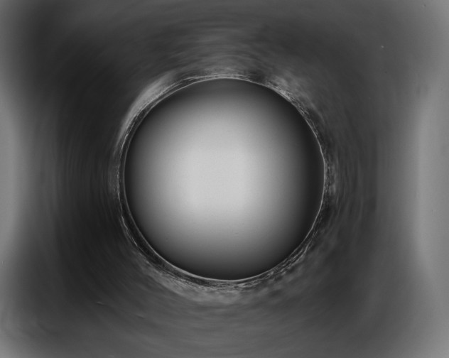 X0000086930004200704161434