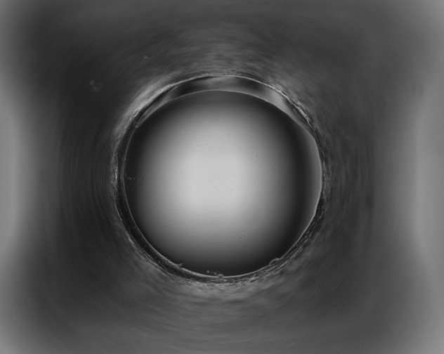 X0000086930005200704161434