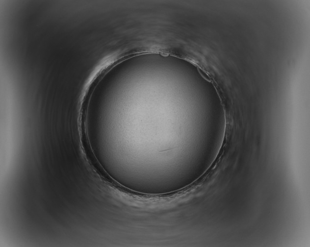 X0000086930006200704161434