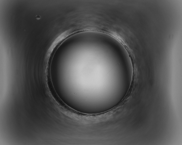 X0000086930007200704161434