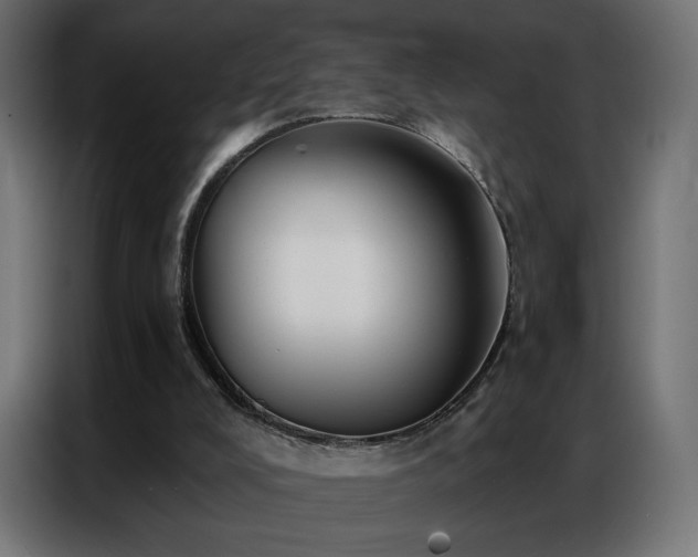 X0000086930008200704161434