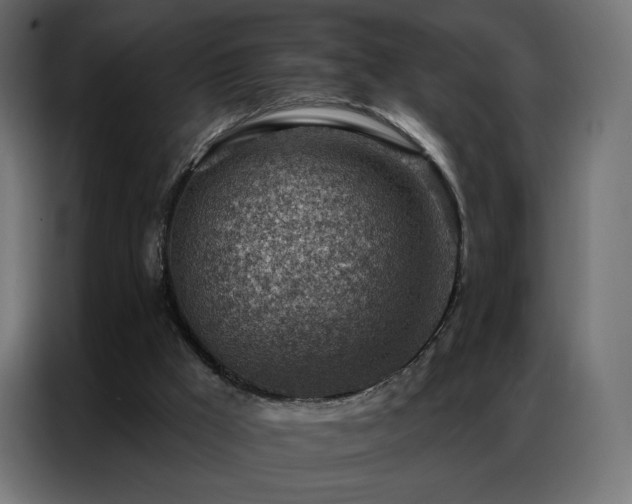 X0000086930009200704161434