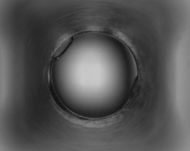 X0000086930011200704161434