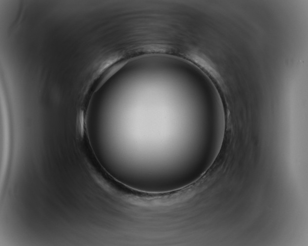 X0000086930013200704161434