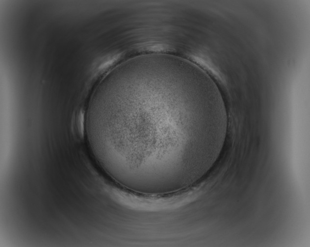 X0000086930014200704161434