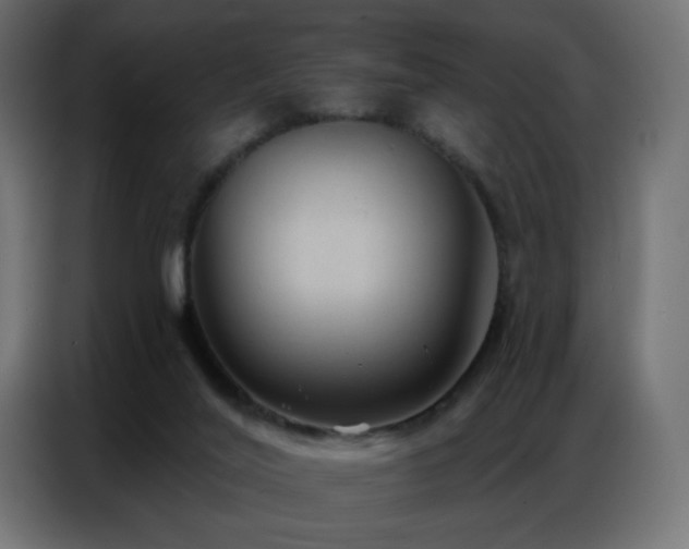 X0000086930020200704161434