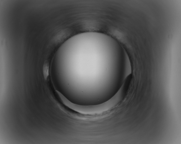 X0000086930021200704161434