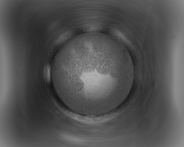 X0000086930022200704161434